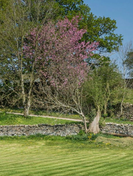 Lundholme Farm Holiday Cottages - Ingleton