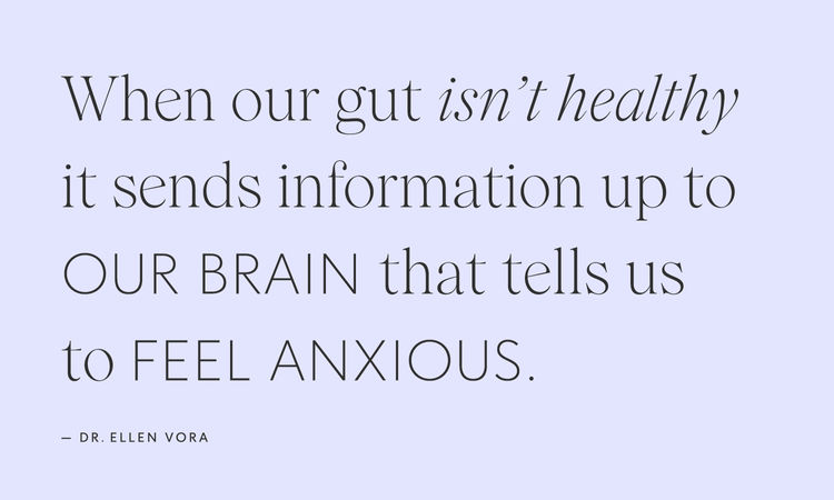 Dr. Ellen Vora Gut Health and Anxiety