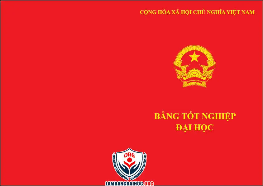 Mua Bằng Đại Học - Giải Pháp Tối Ưu Cho Sự Nghiệp