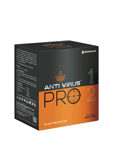 Antivirus-Pro