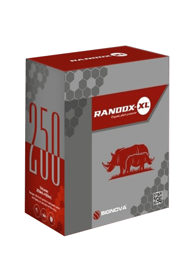 Randox XL