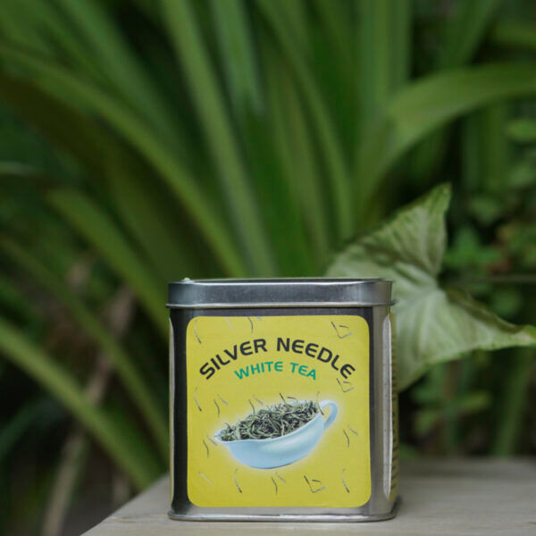 silver needle white tea