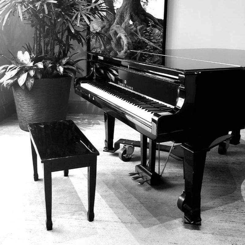 Pianista Brescia
