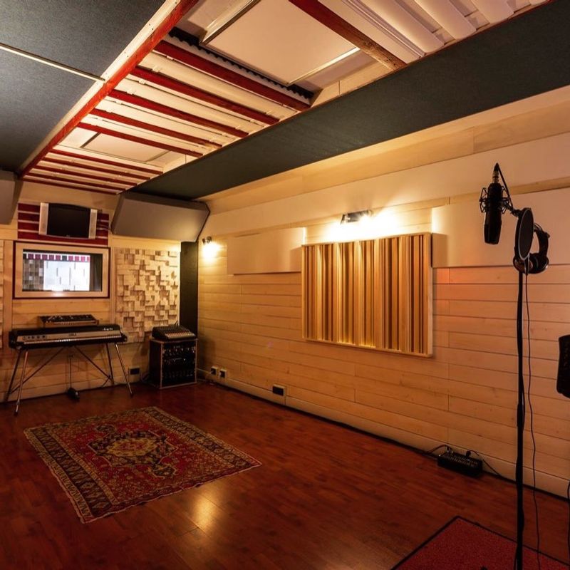 Andrea Lion - True Colours Studio