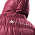 cgi-adidas