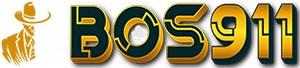 BOS911
