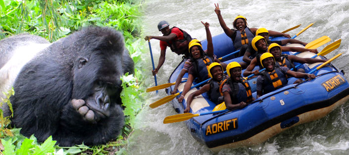 Uganda Accessible Primate Safari