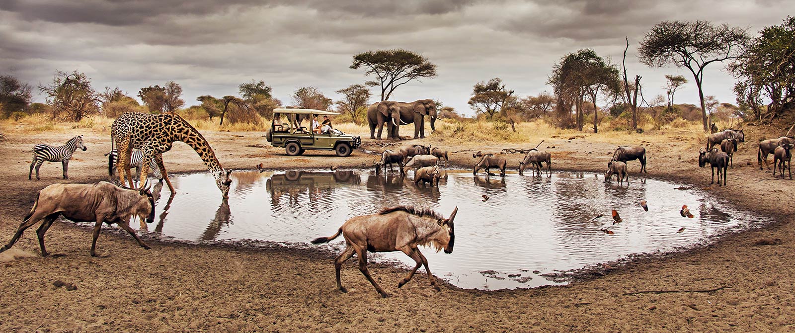 Serengeti Wildlife Safari - Tanzania safari tour
