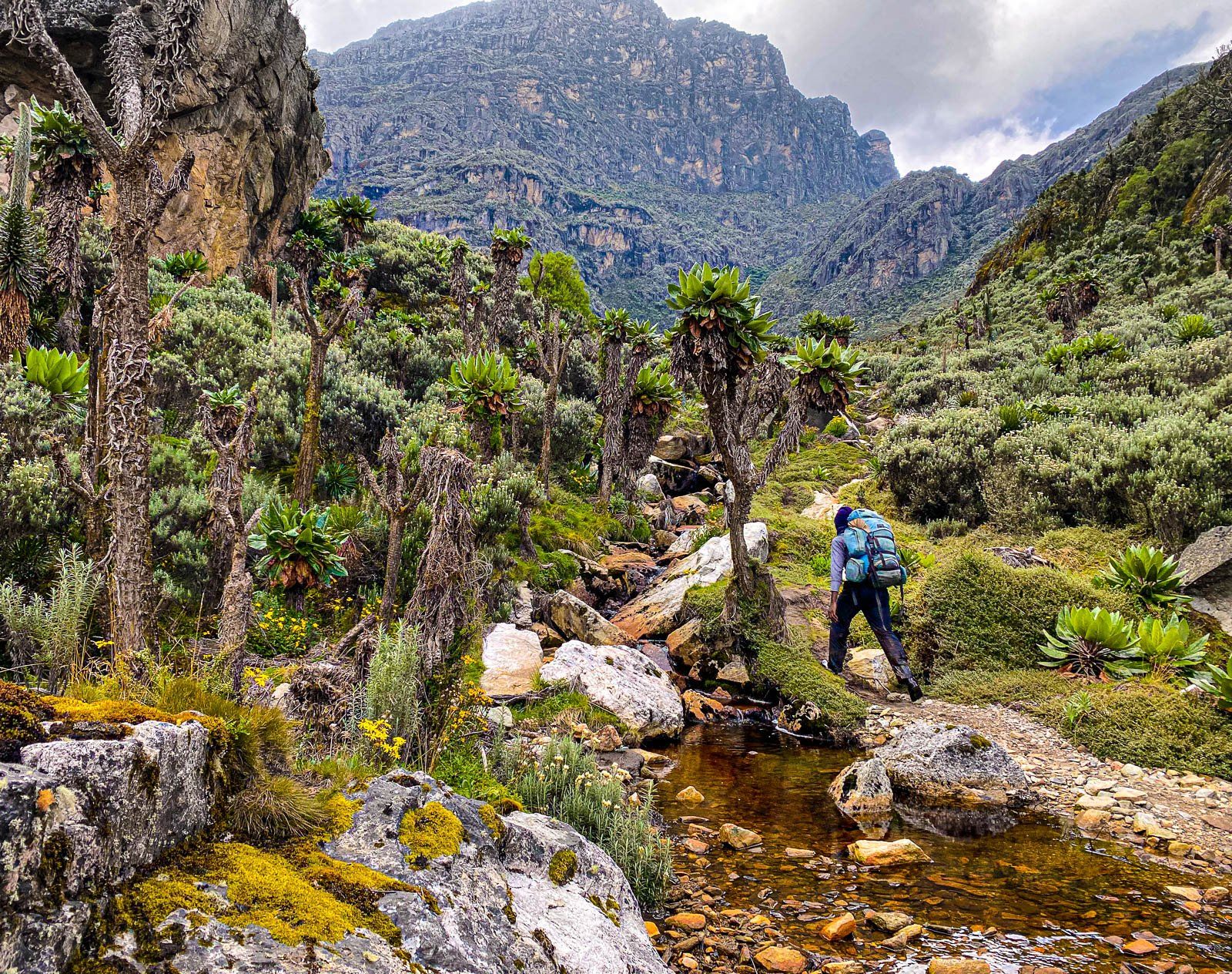 Rwenzori Mountains