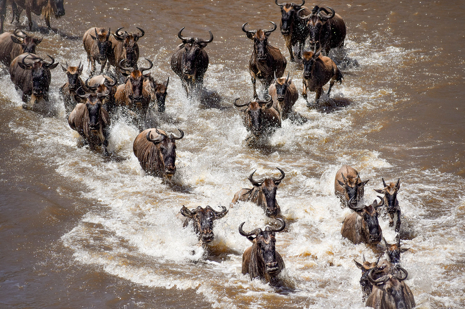 Masai Mara JaeTravel Expeditions - Featured Image