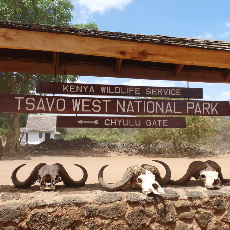Tsavo East & West Safari - Featured Image