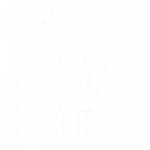 core-icon