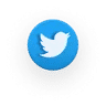 Share on twitter