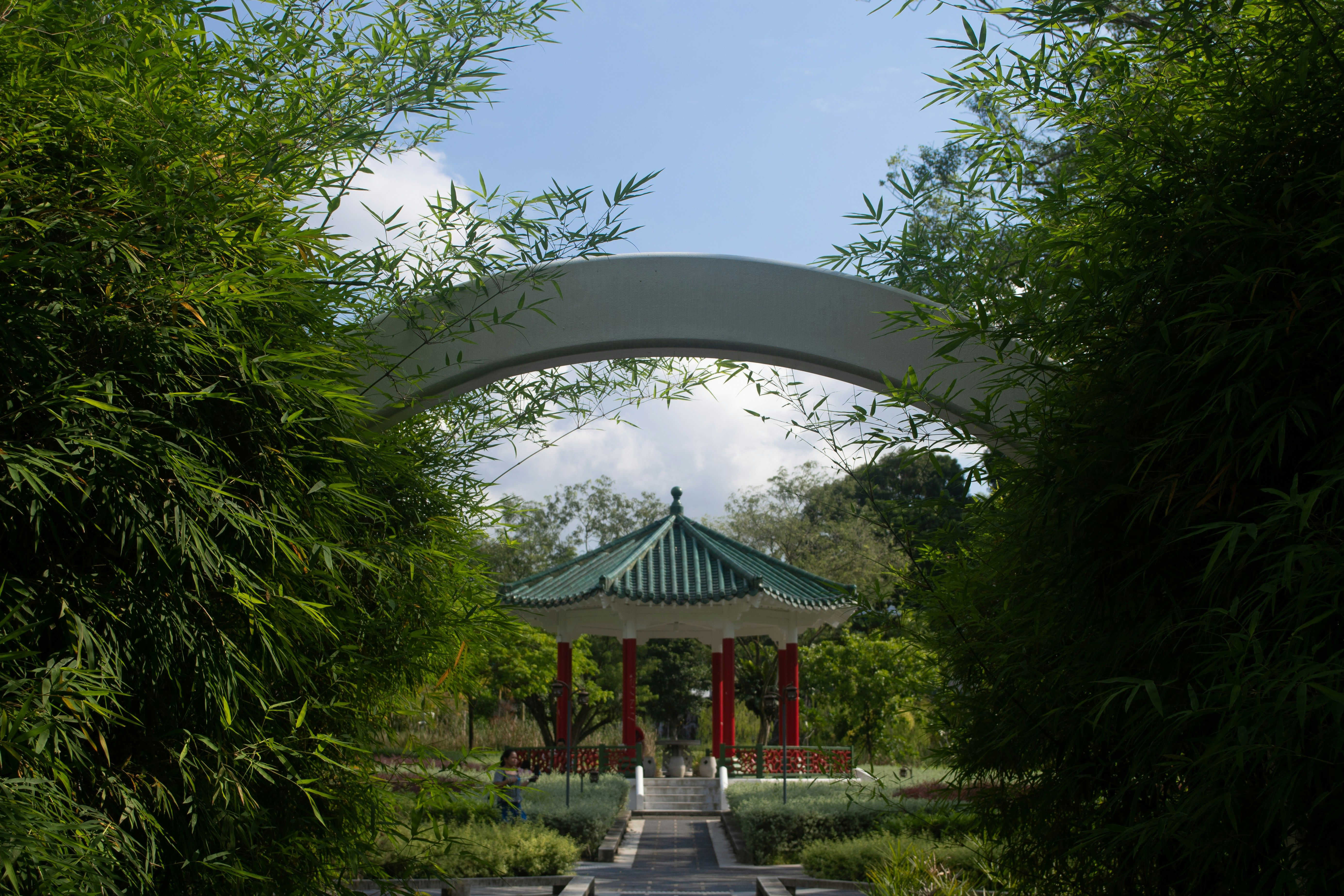Chinese Garden