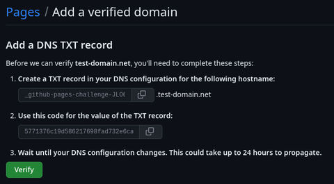 A screenshot of the GitHub page to verify ownership of your domain.