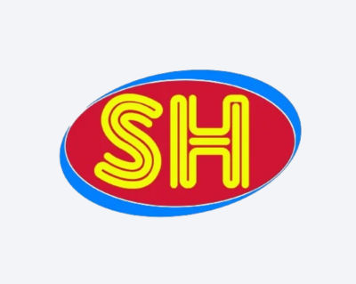 SHREE HINGLAGE NETWORK SOLUTIONS logo
