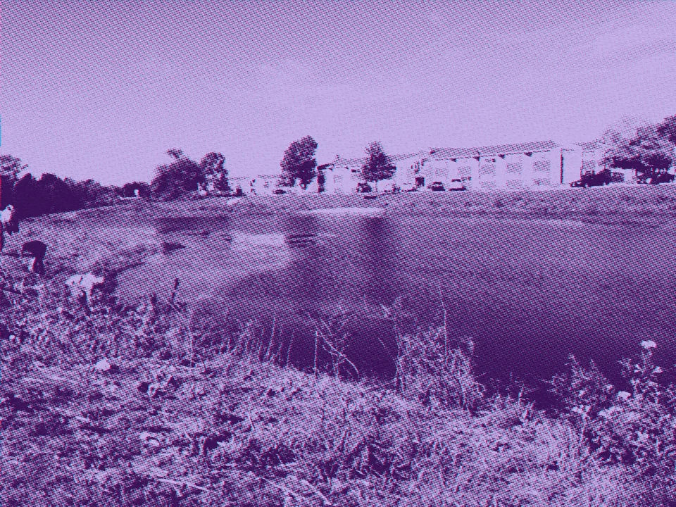 A pond on my high school campus.
