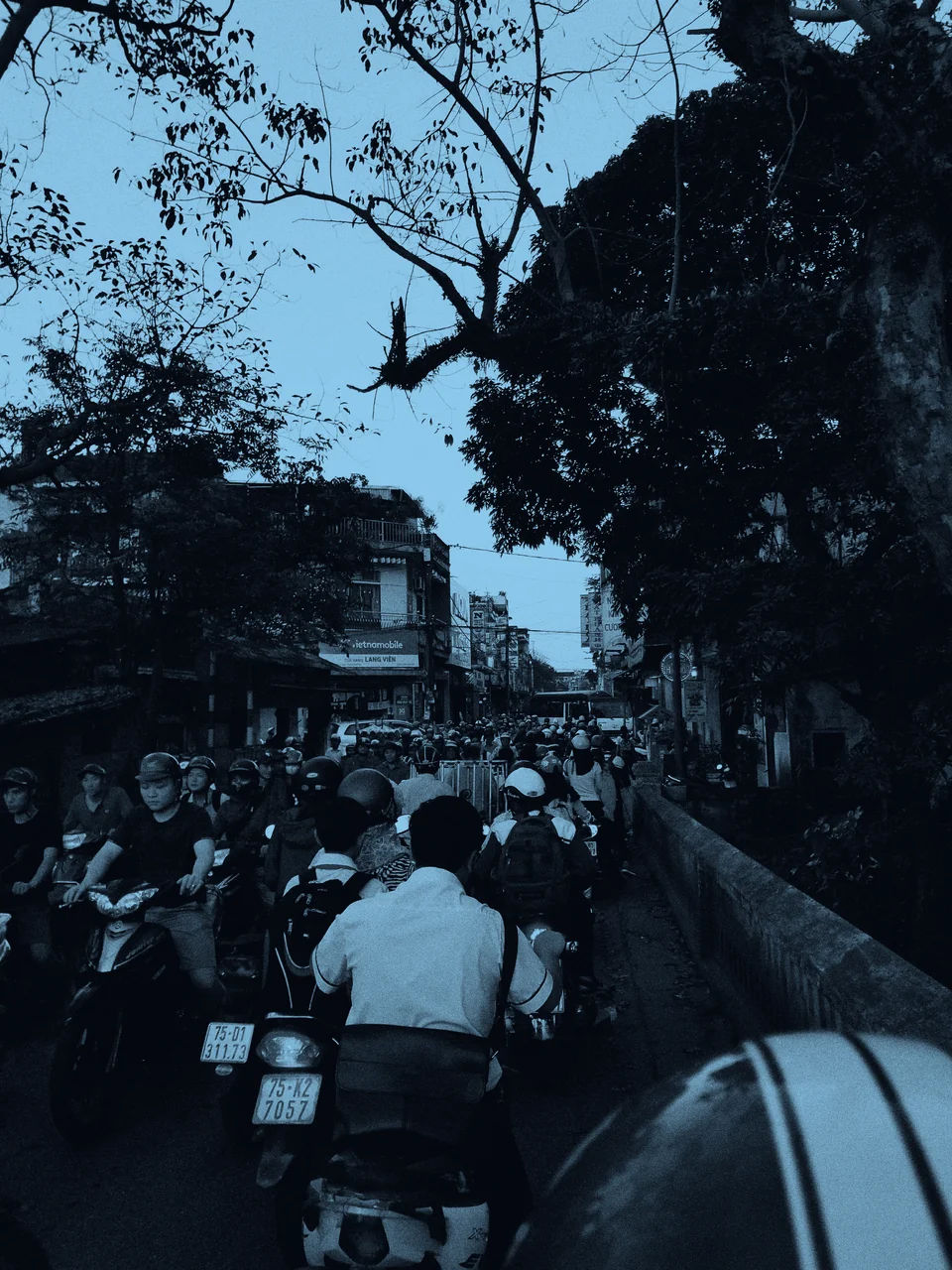 Motorbike traffic along a tree-lined street.