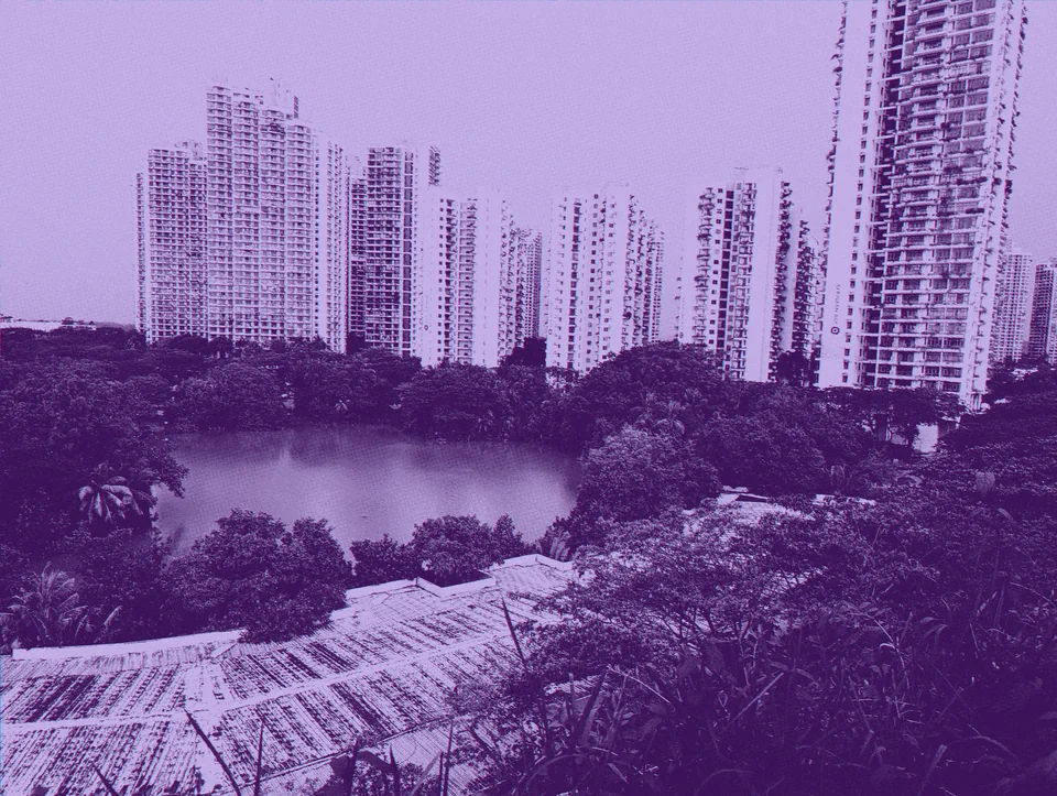 Apartment towers surrounding a lake and lush greenery.