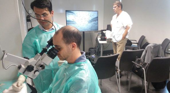 Spain 2015 Live Workshop