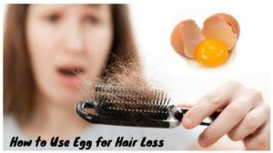 How-to-Use-Egg-for-Hair-Loss-1