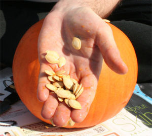 Pumpkin-Seeds-for-Hair-Loss-The-Belgravia-Centre