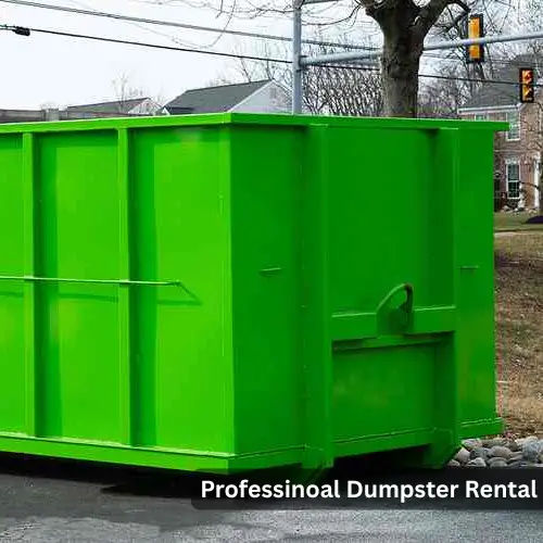 Dumpster Rental in USA