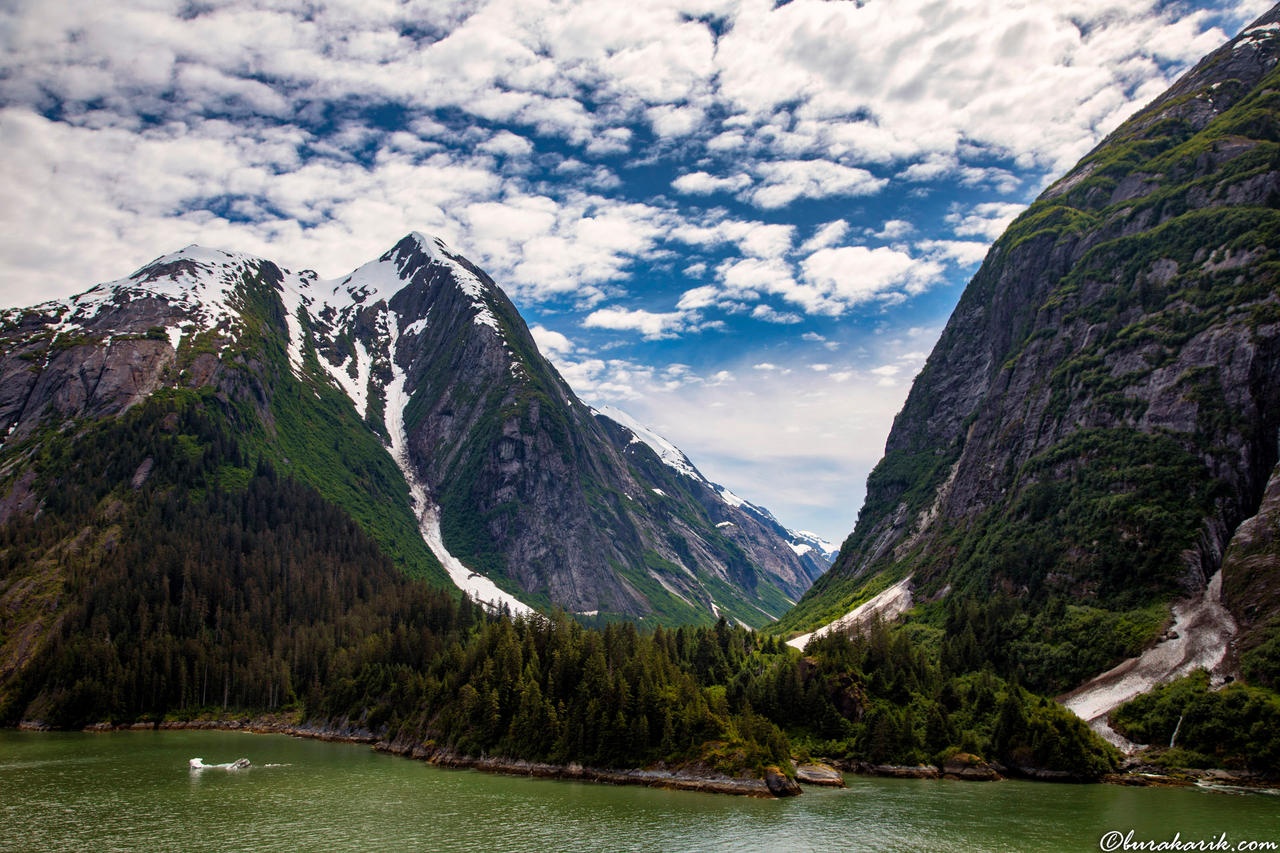 The Generous Nature at Alaska - II