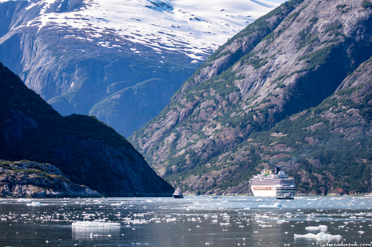 Tracy Arm Fiyordunda Gemiler