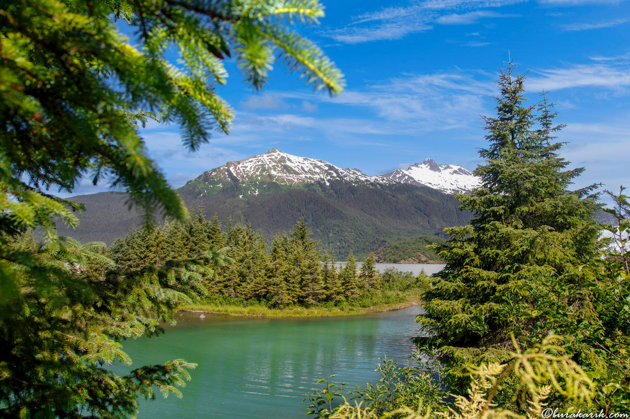 The Nature in Alaska