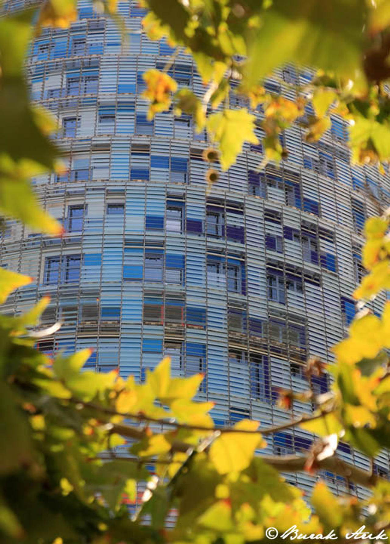 Torre Agbar Through Leafs