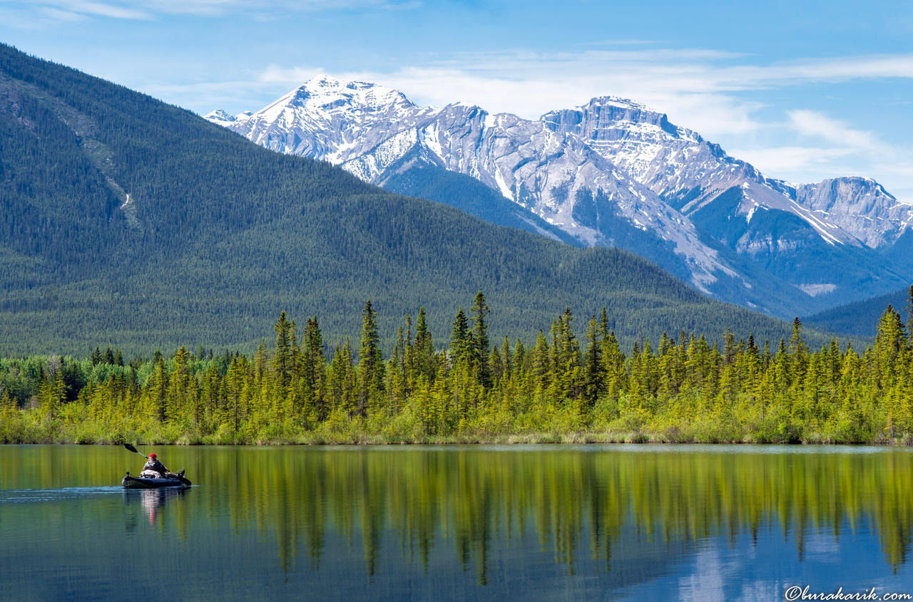 Serenity on Reflective Waters