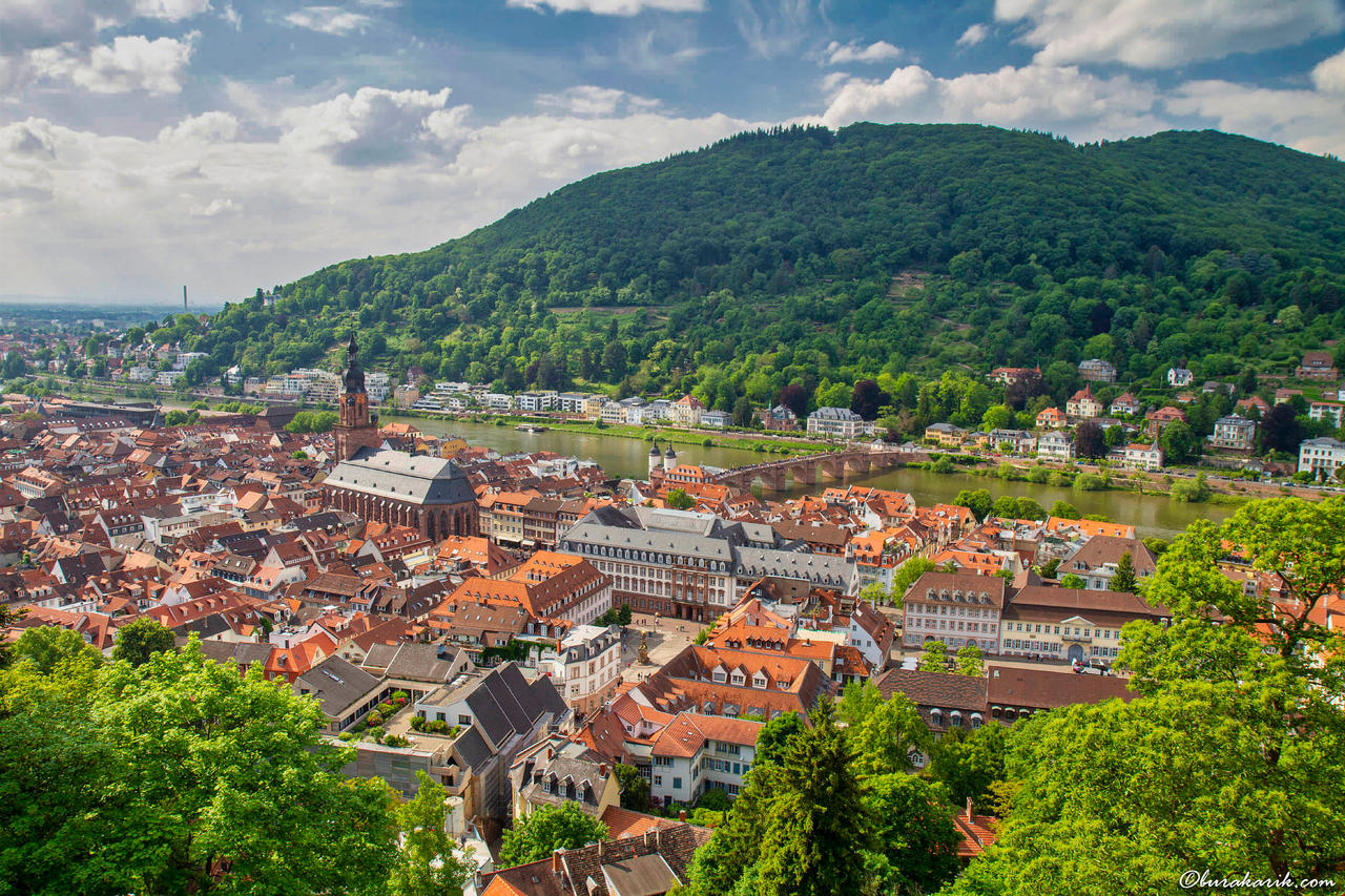Heidelberg'e Bakış