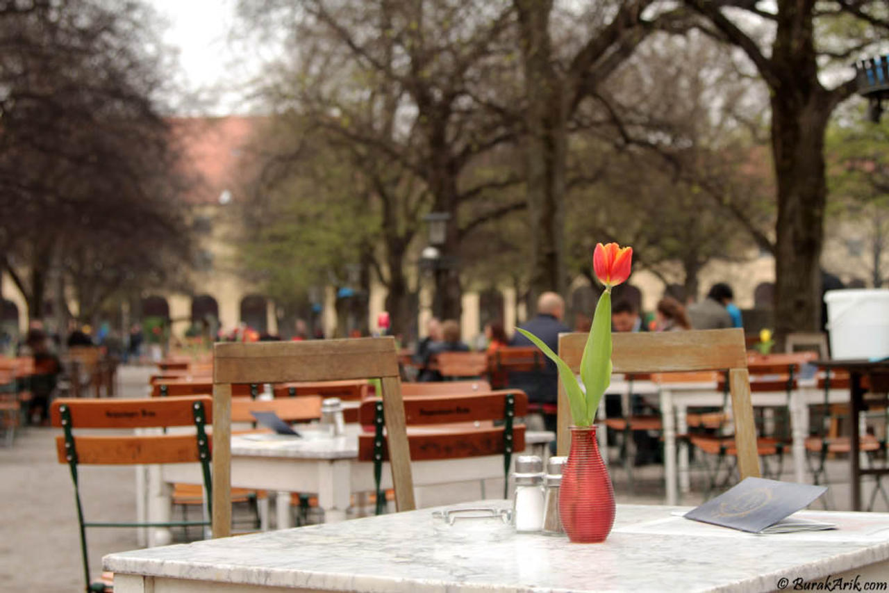A Lovely Cafe Near Odeonplatz