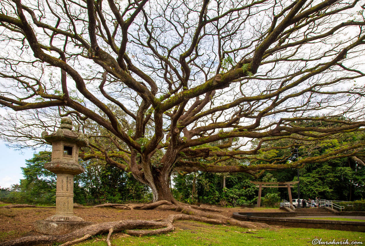 Liliuokalani Gardens