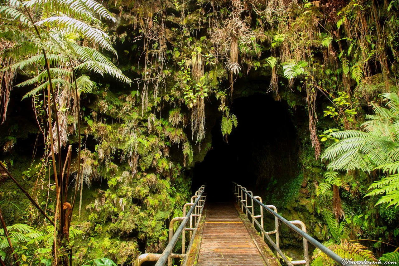 Nahuku Thurston Lava Tube
