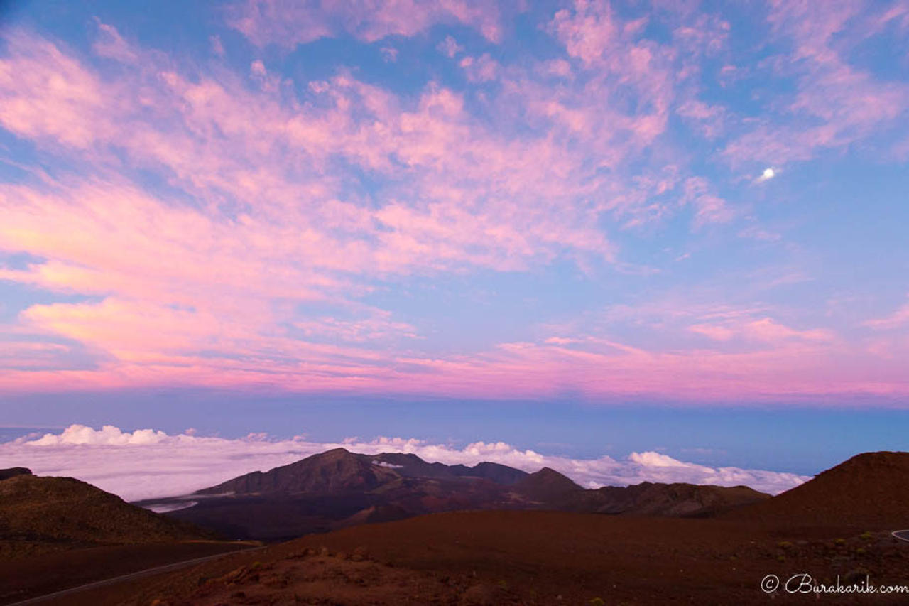 A Pink Sunset