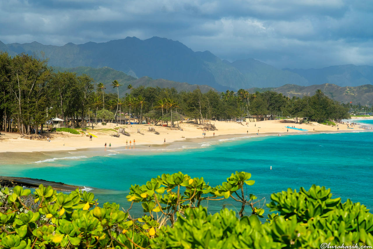 Kailua's Coastal Canvas
