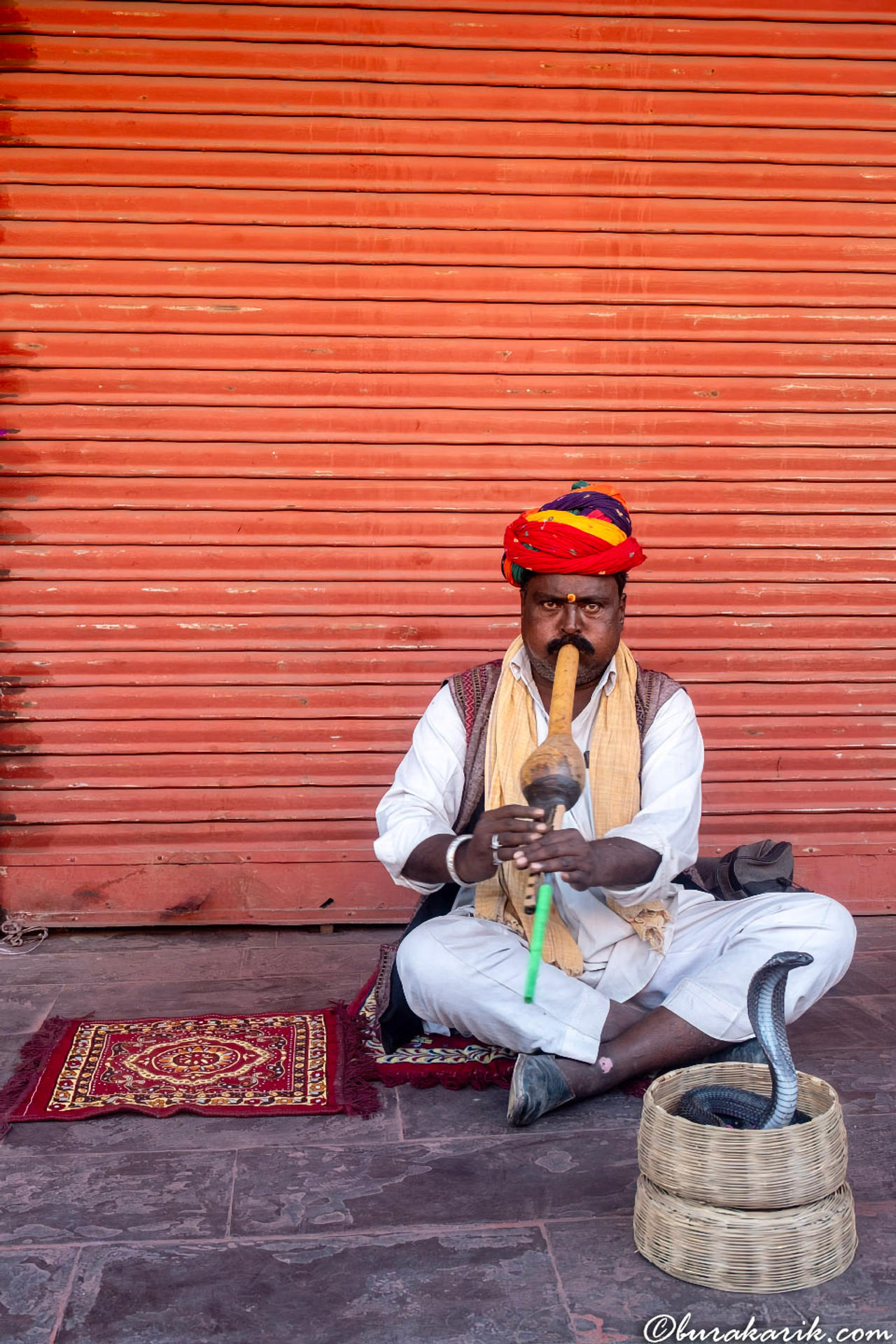 Snake Charmer's Melody