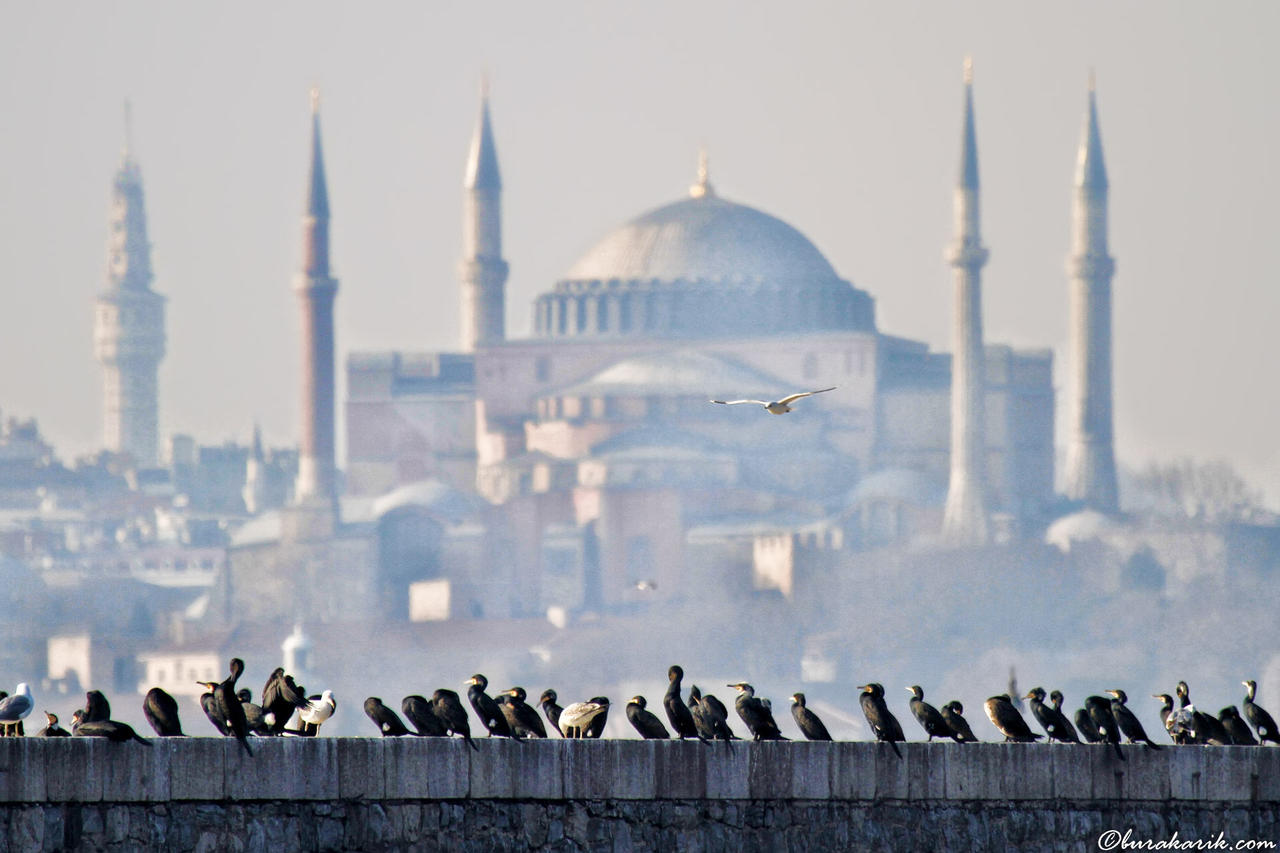 Karabatakların Boğaz Sefası