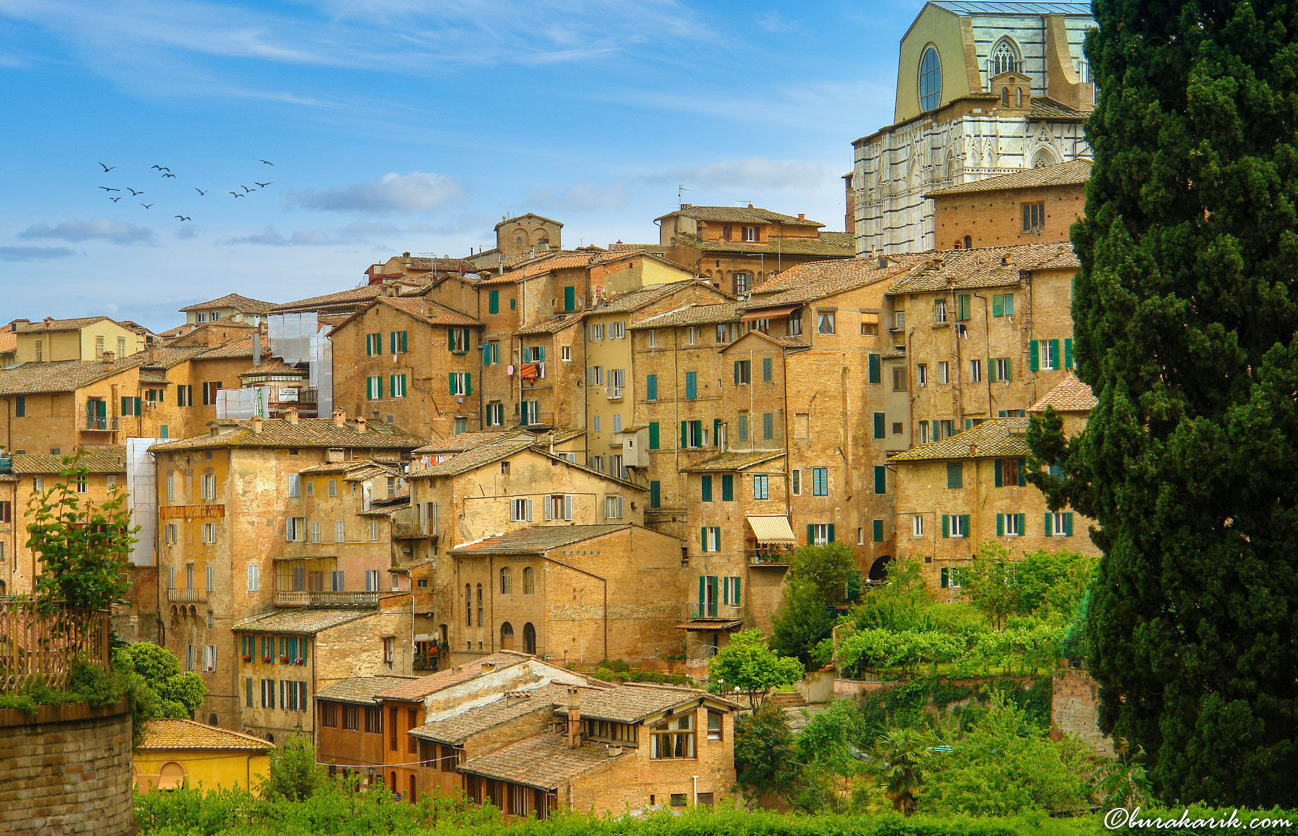 Colors of Siena