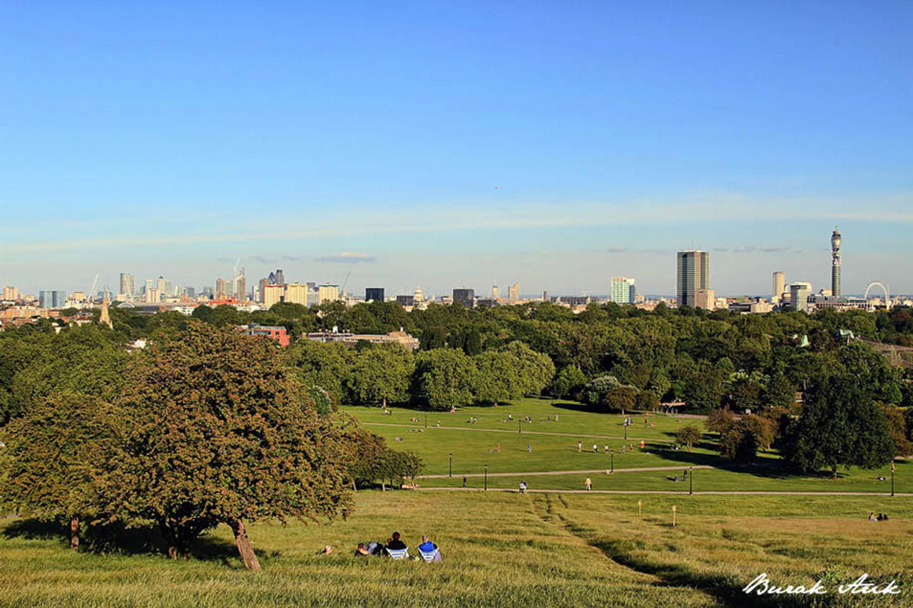 Primrose Hill