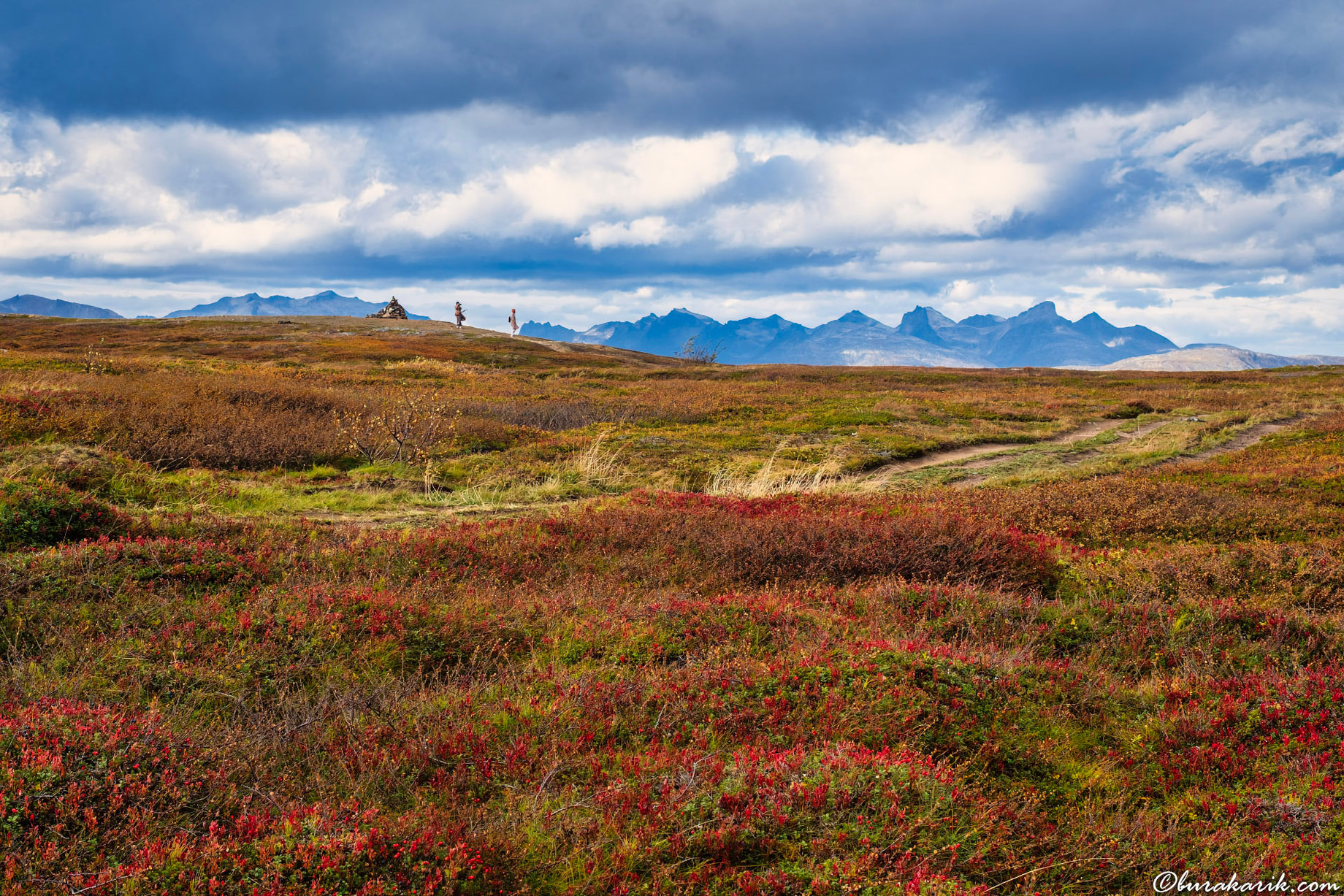 Nordic Wilderness at Bønntuva
