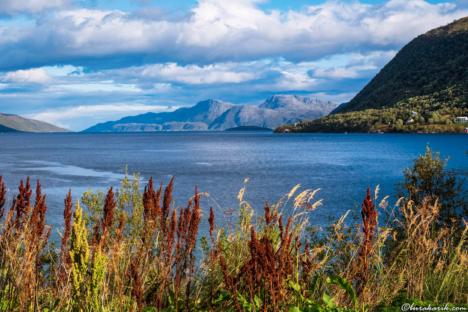 Serene Norwegian Fjord