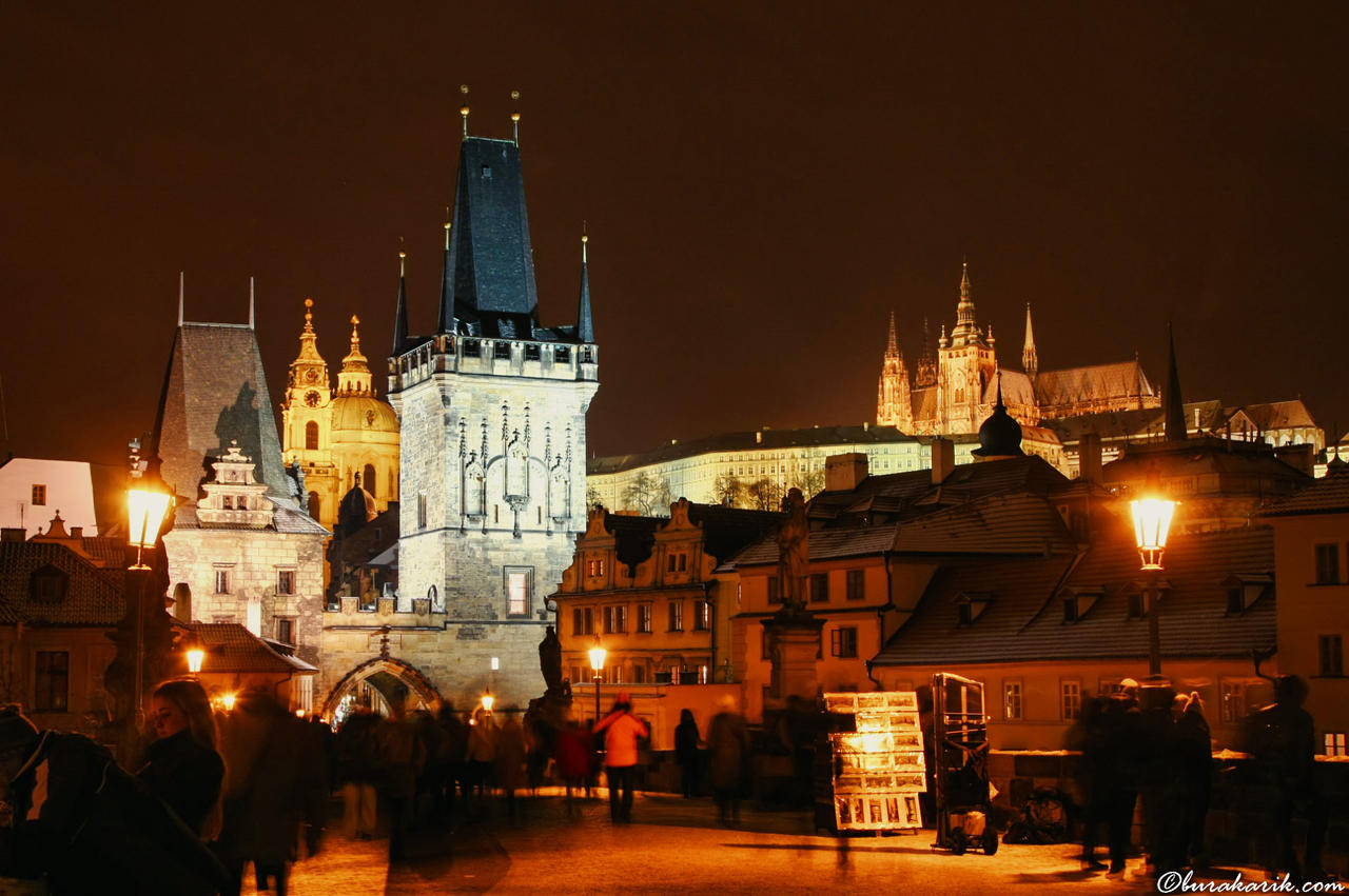The Charles Bridge And The Castle