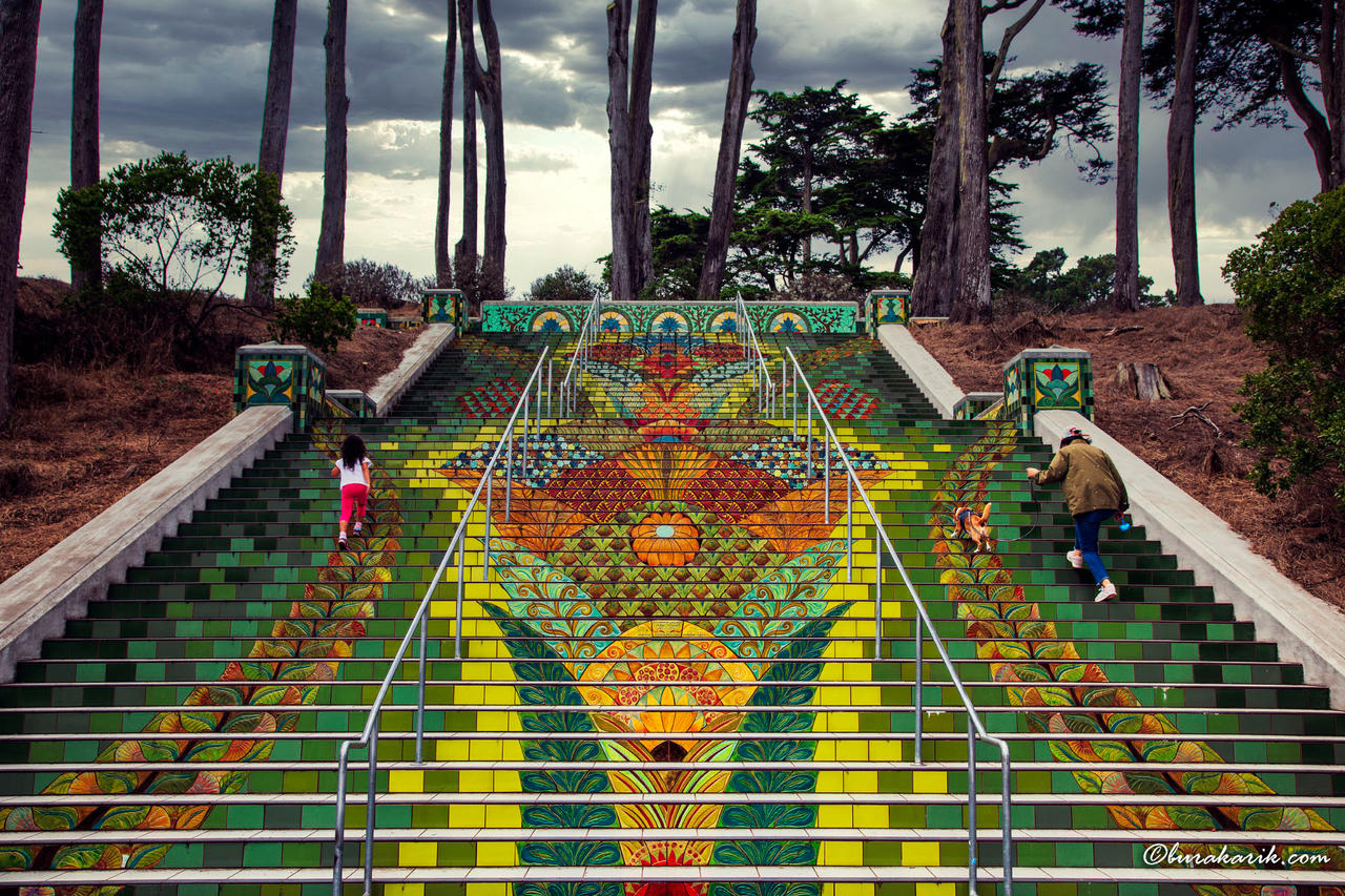 Lincoln Park Steps