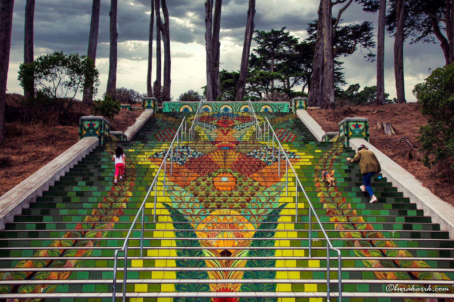 Lincoln Park Steps