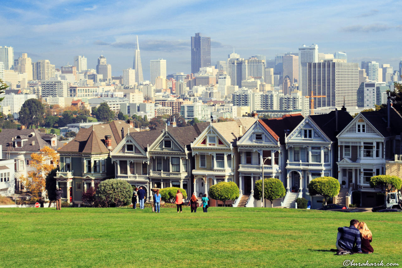 Painted Ladies