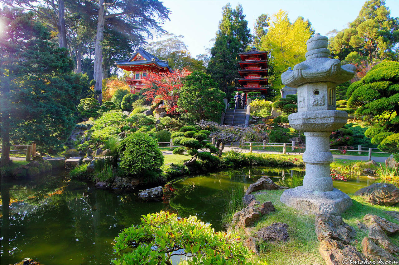 The Japanese Tea Garden