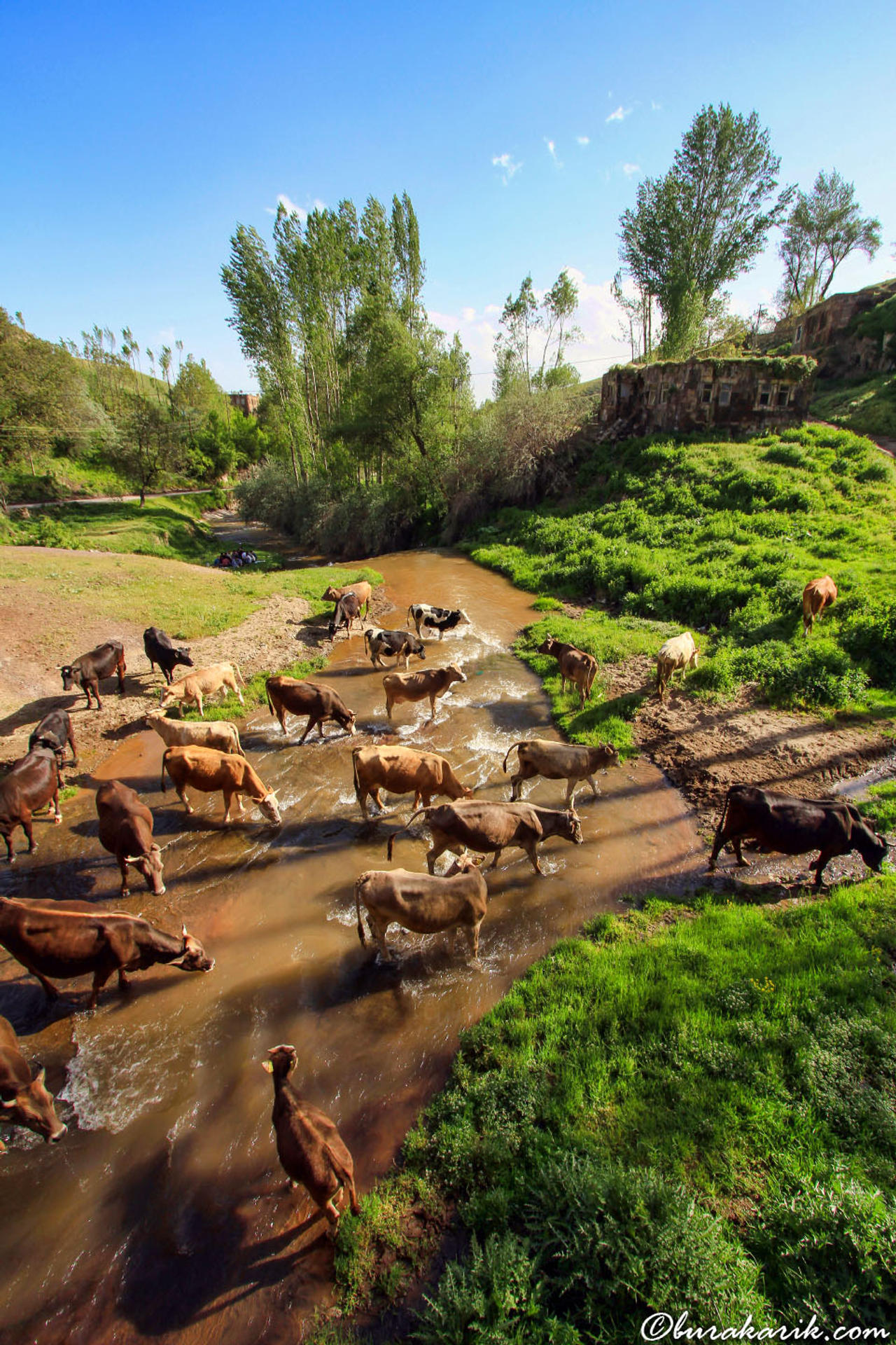 Ahlat, Bitlis